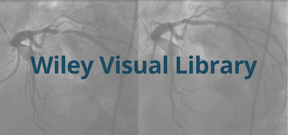 Wiley Visual Library Logo