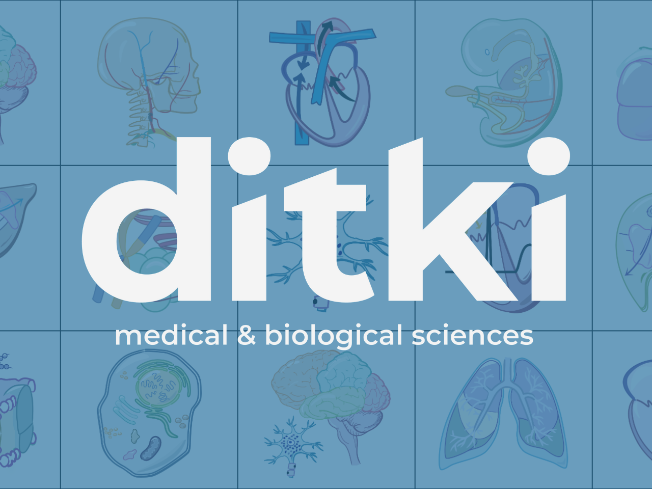 12 hand-drawn,colored body-part figures, over-layed with Ditki logo